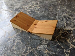 pedana propriocettiva